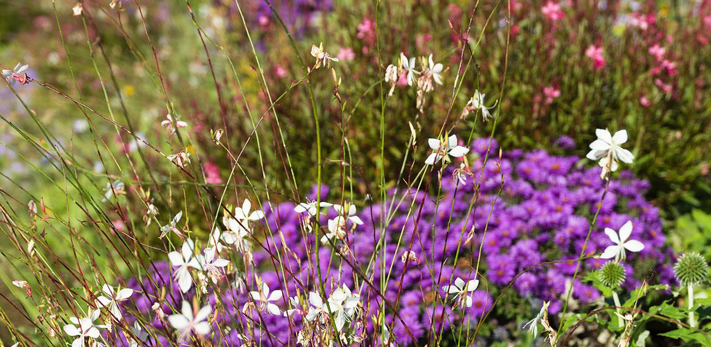 ruegg_gartendesign_felix_bruengger_B0104711.jpg