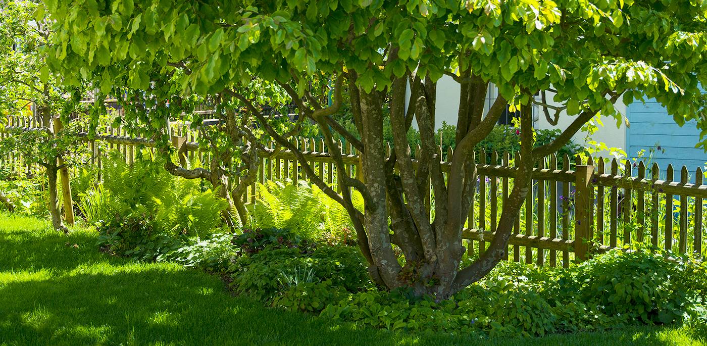 ruegg_gartendesign_felix_bruengger_B_07544.jpg