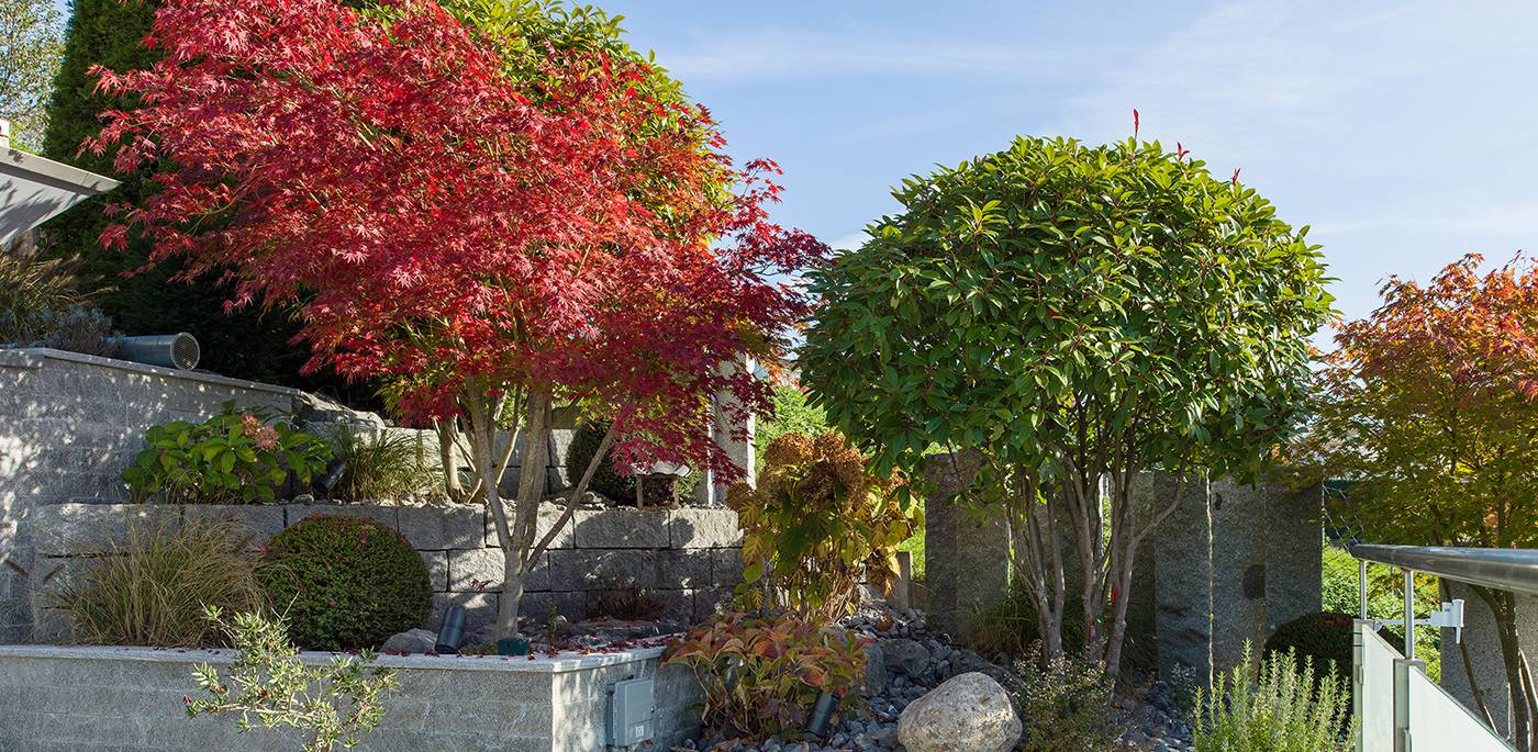 ruegg_gartendesign_felix_bruengger_B0105099.jpg