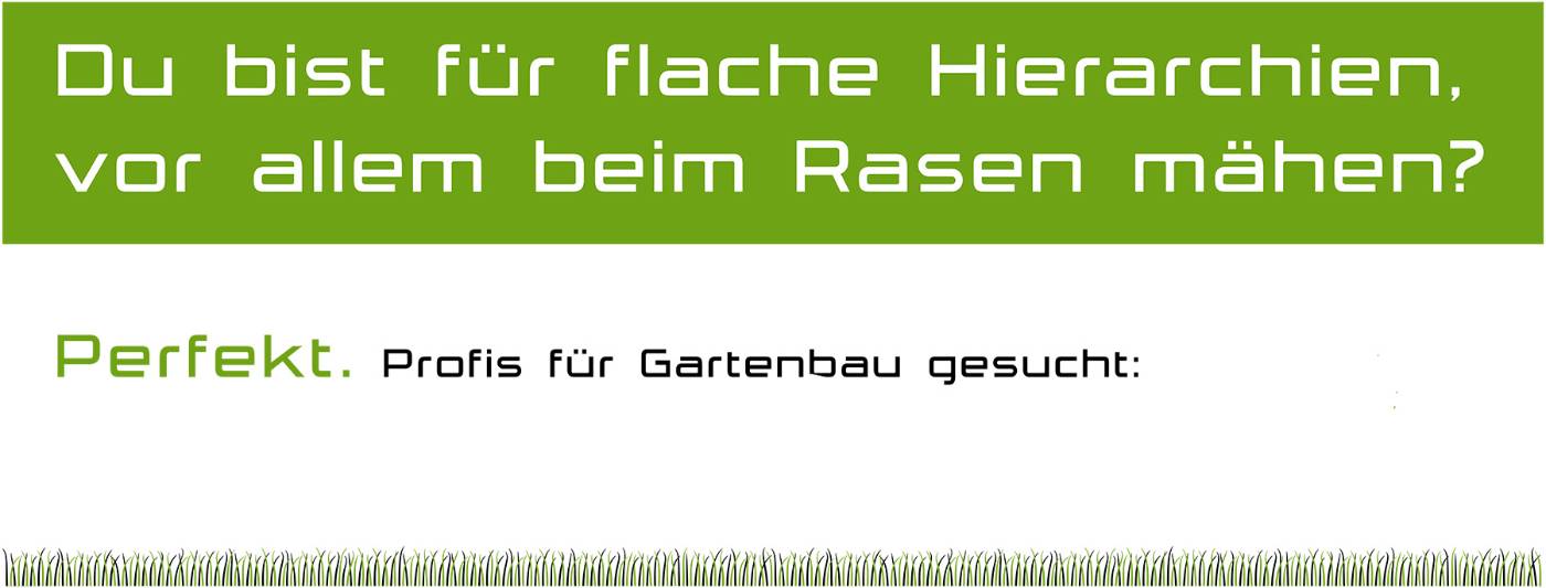 Job suche