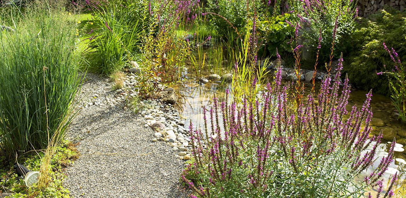 ruegg_gartendesign_felix_bruengger_B_14464.jpg