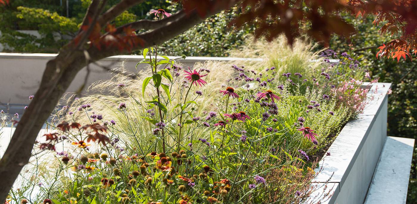 ruegg_gartendesign_felix_bruengger_B0042997.jpg