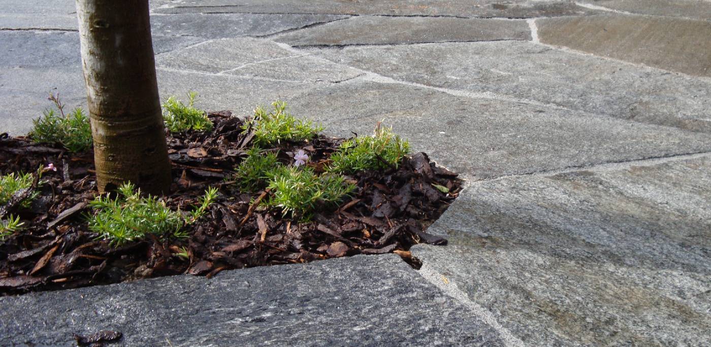 gartendesign_granitplatz.JPG