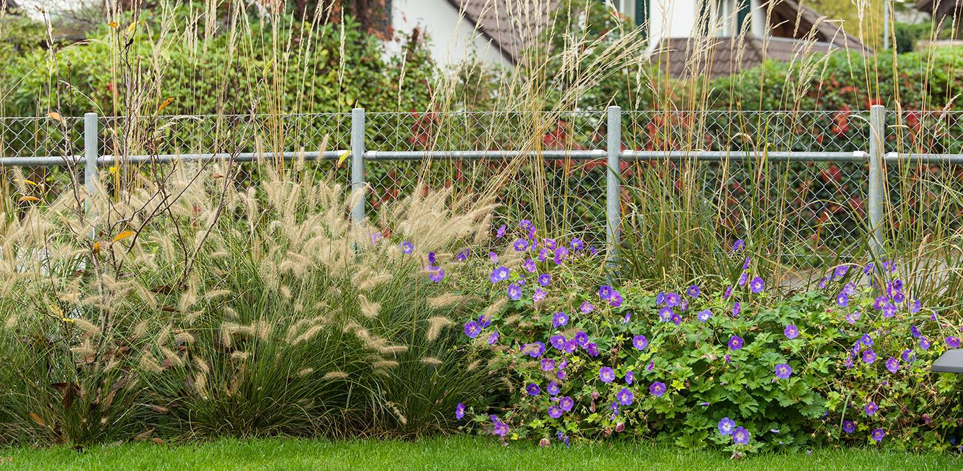 ruegg_gartendesign_felix_bruengger_B0105282.jpg