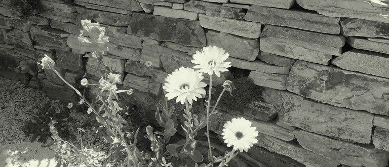 Gartendesign