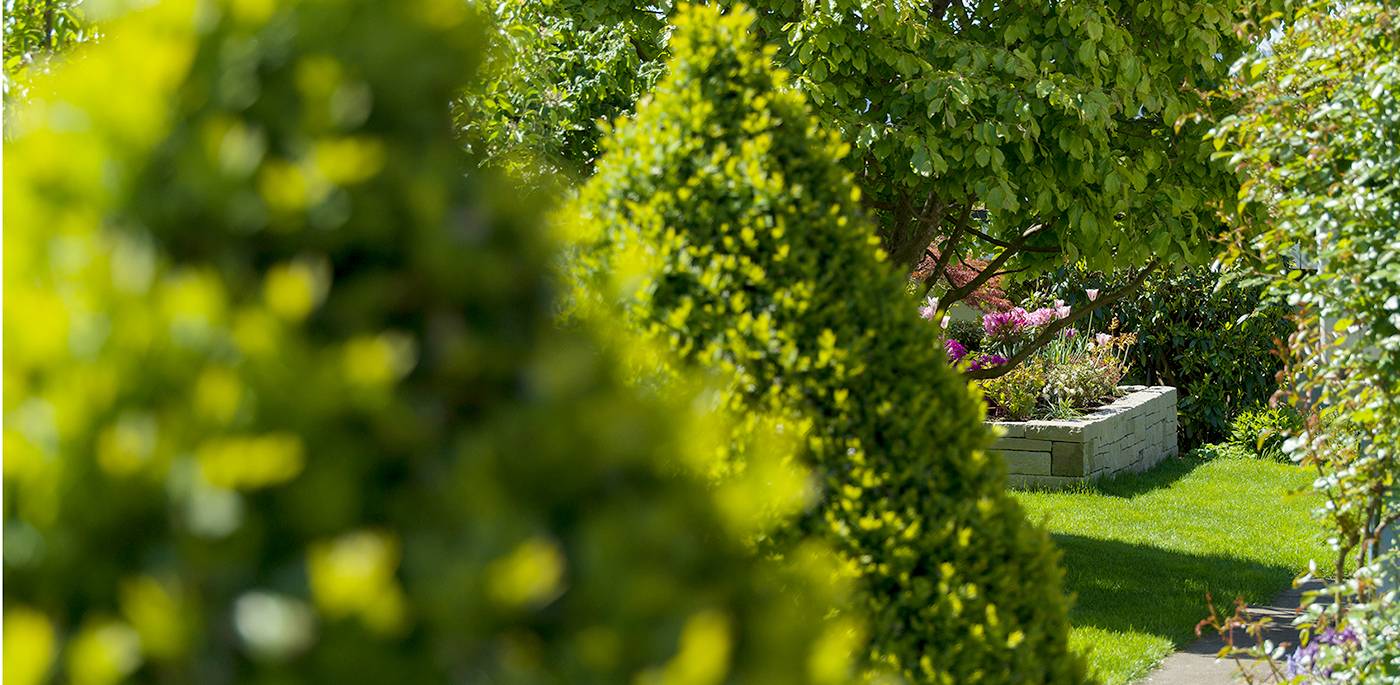 ruegg_gartendesign_felix_bruengger_B_07517.jpg