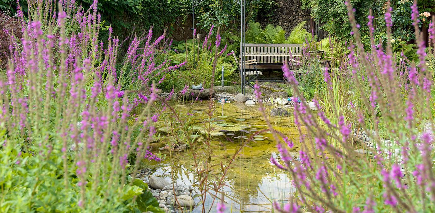 ruegg_gartendesign_felix_bruengger_B_14480.jpg