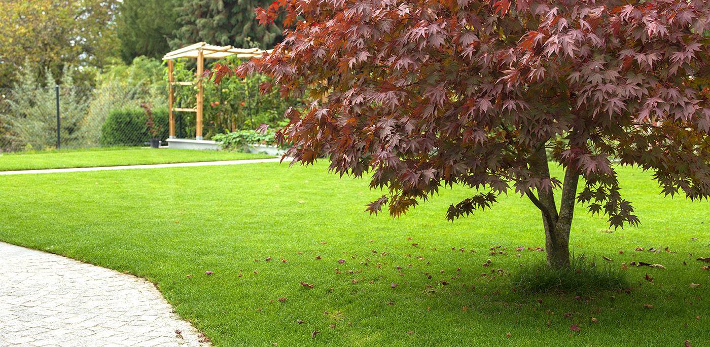 ruegg_gartendesign_felix_bruengger_B0105182.jpg